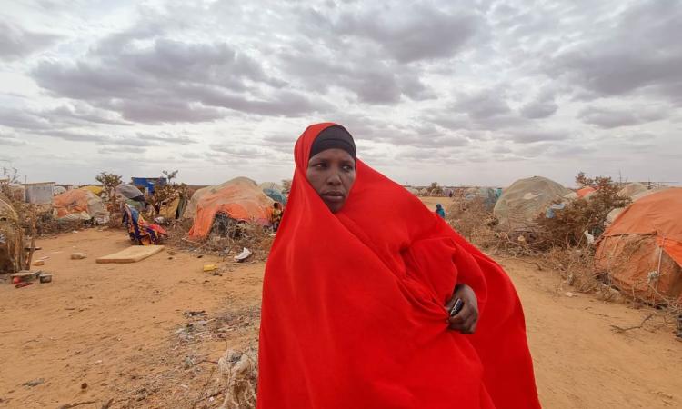 Somalia report hero
