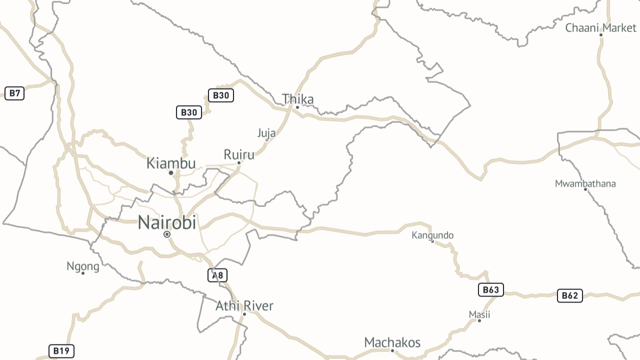Map style with road network
					highlighted
